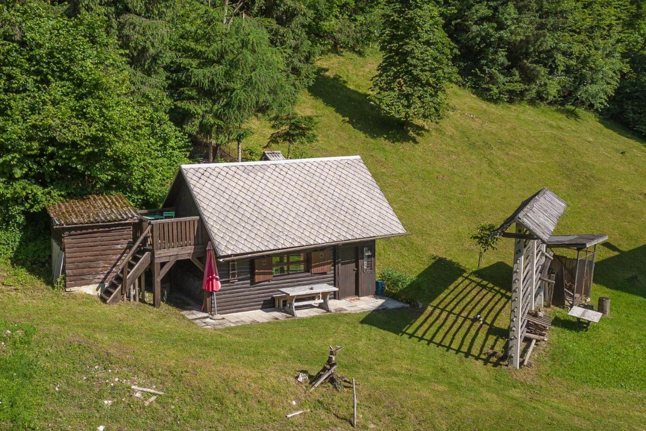 Cottage House Podgosar Bled Pokljuka Exterior foto